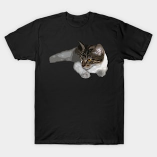 cat with strange regard T-Shirt